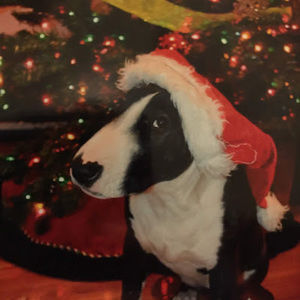 Meet your Posher, Fun